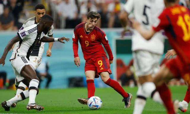 1669578309046071264.jpg 6000 (1).jpg